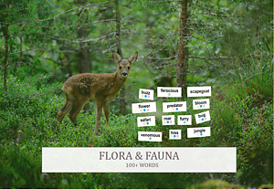 *Add-On* Word Kit: Flora & Fauna (100+ words)
