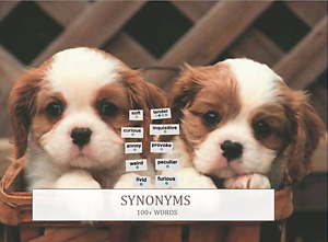 *Add-On* Word Kit: Synonyms (100 Words)
