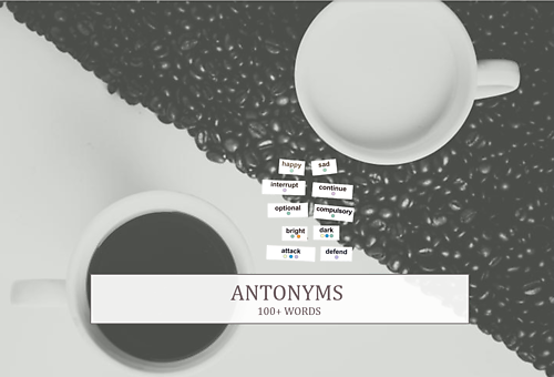 *Add-On* Word Kit: Antonyms (100 Words)