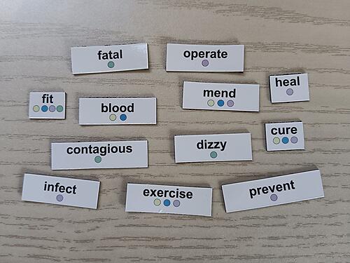 *Add-On* Word Kit: Health (100+ Words)